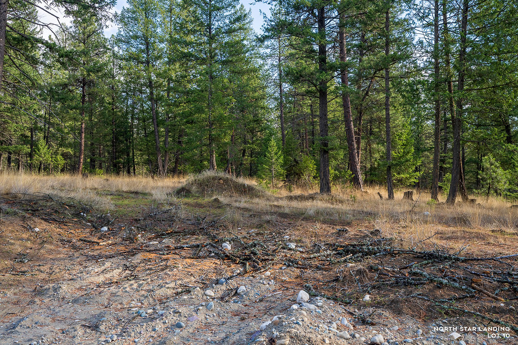 Lot 10 Lake Heights, North Star Landing