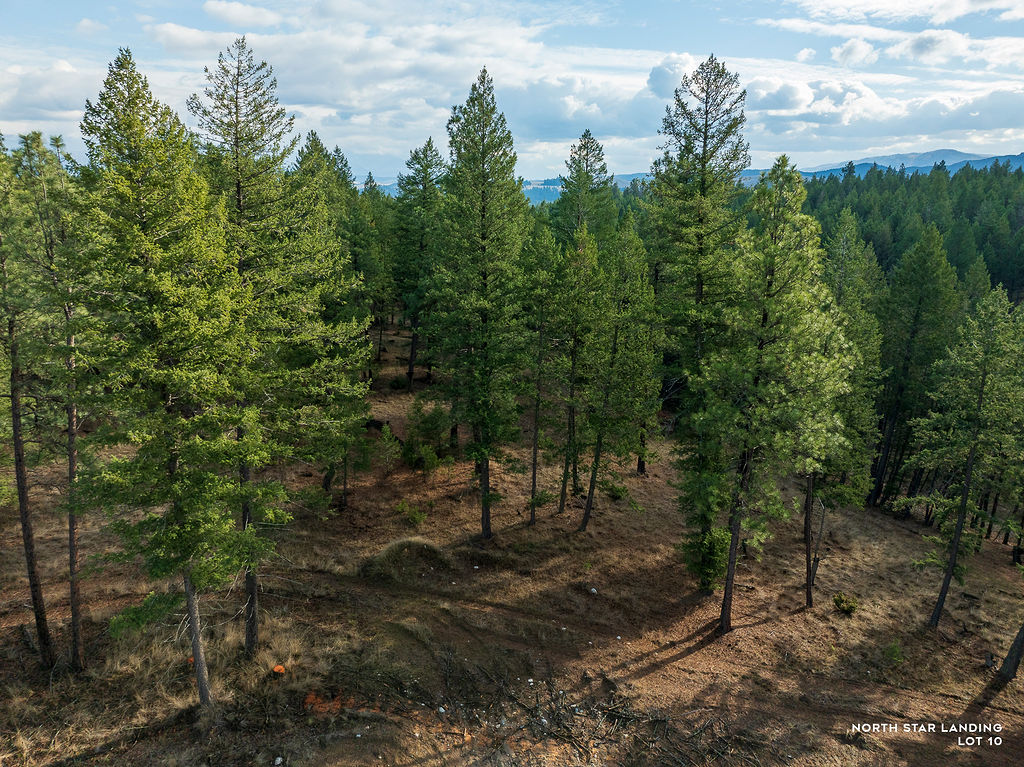 Lot 10 Lake Heights, North Star Landing