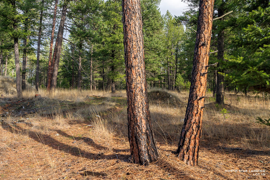 Lot 10 Lake Heights, North Star Landing