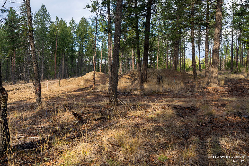 Lot 49 Basin Bend, North Star Landing