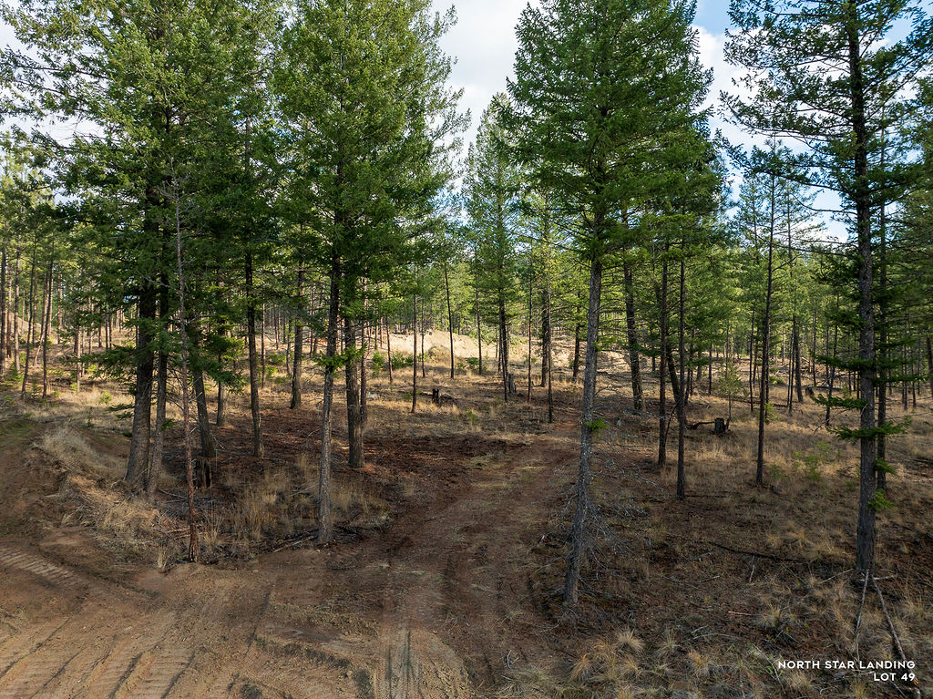 Lot 49 Basin Bend, North Star Landing