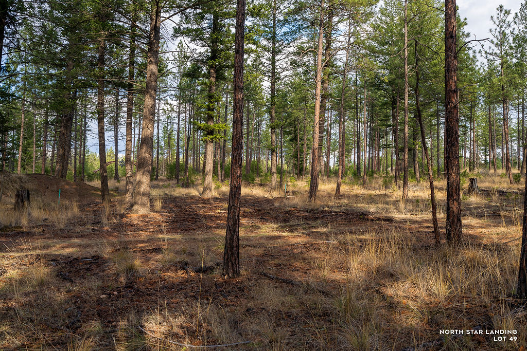 Lot 49 Basin Bend, North Star Landing