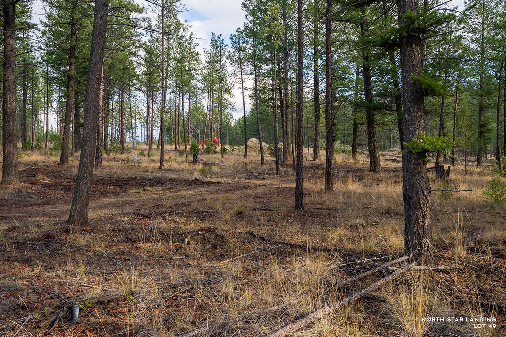Lot 49 Basin Bend, North Star Landing