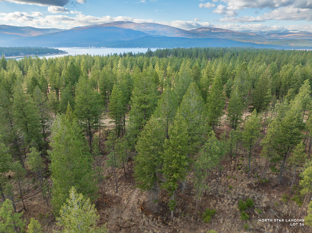 Lot 56 Dropping Jaw, North Star Landing