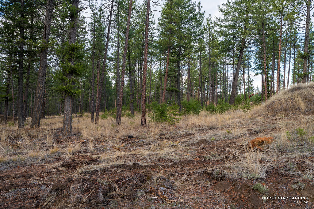 Lot 56 Dropping Jaw, North Star Landing