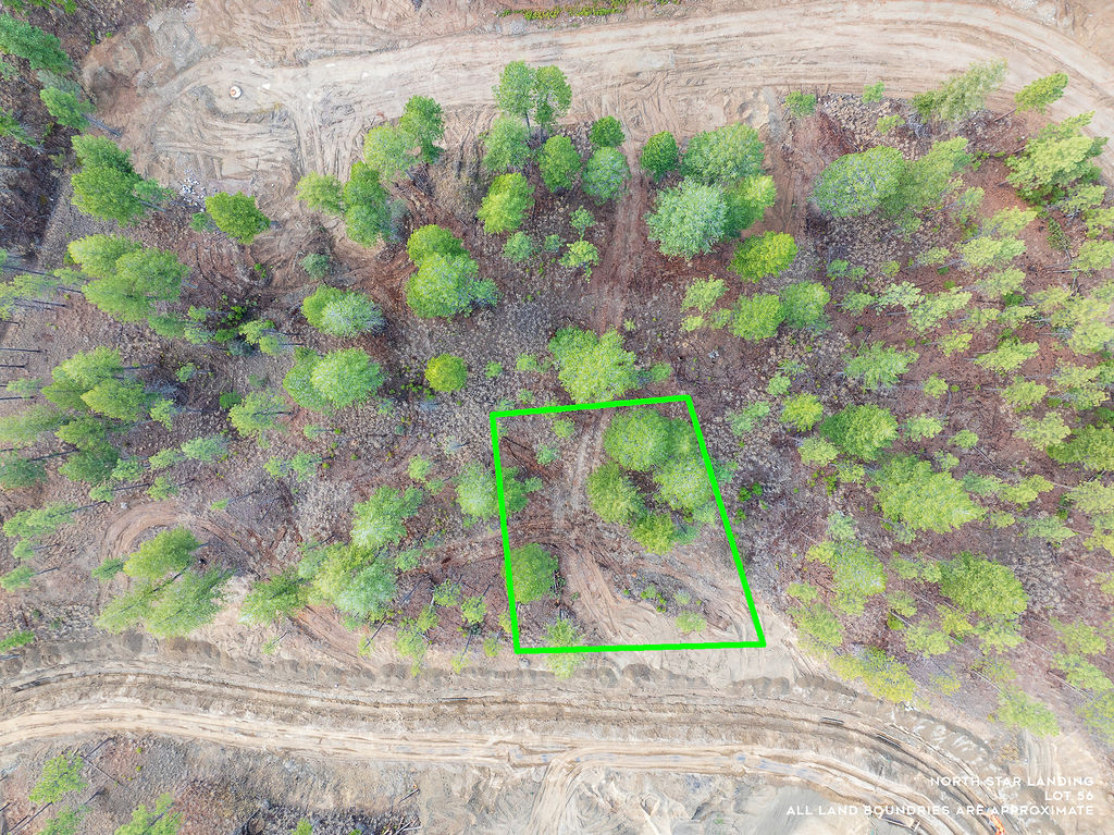 Lot 56 Dropping Jaw, North Star Landing