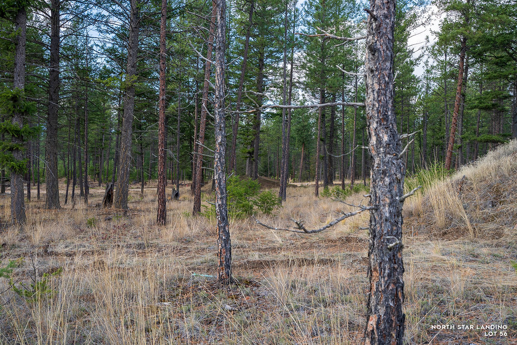 Lot 56 Dropping Jaw, North Star Landing