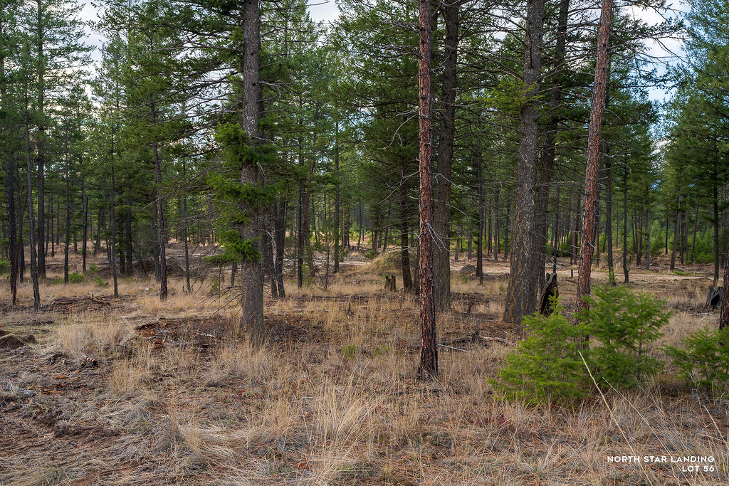 Lot 56 Dropping Jaw, North Star Landing