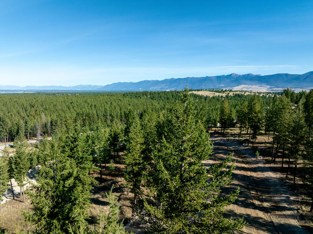 Lot 56 Dropping Jaw, North Star Landing