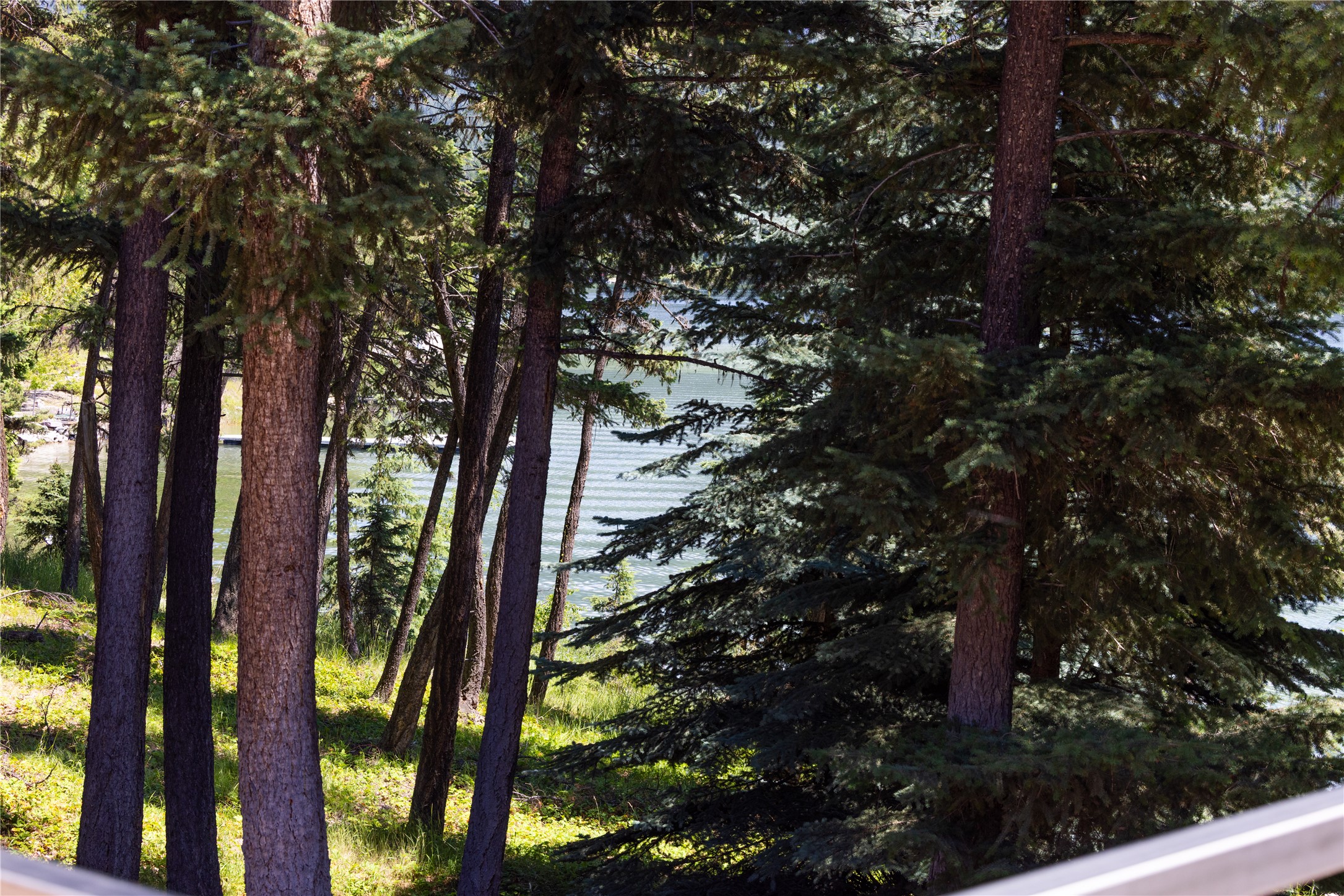 1113 Pomeroy Trail
