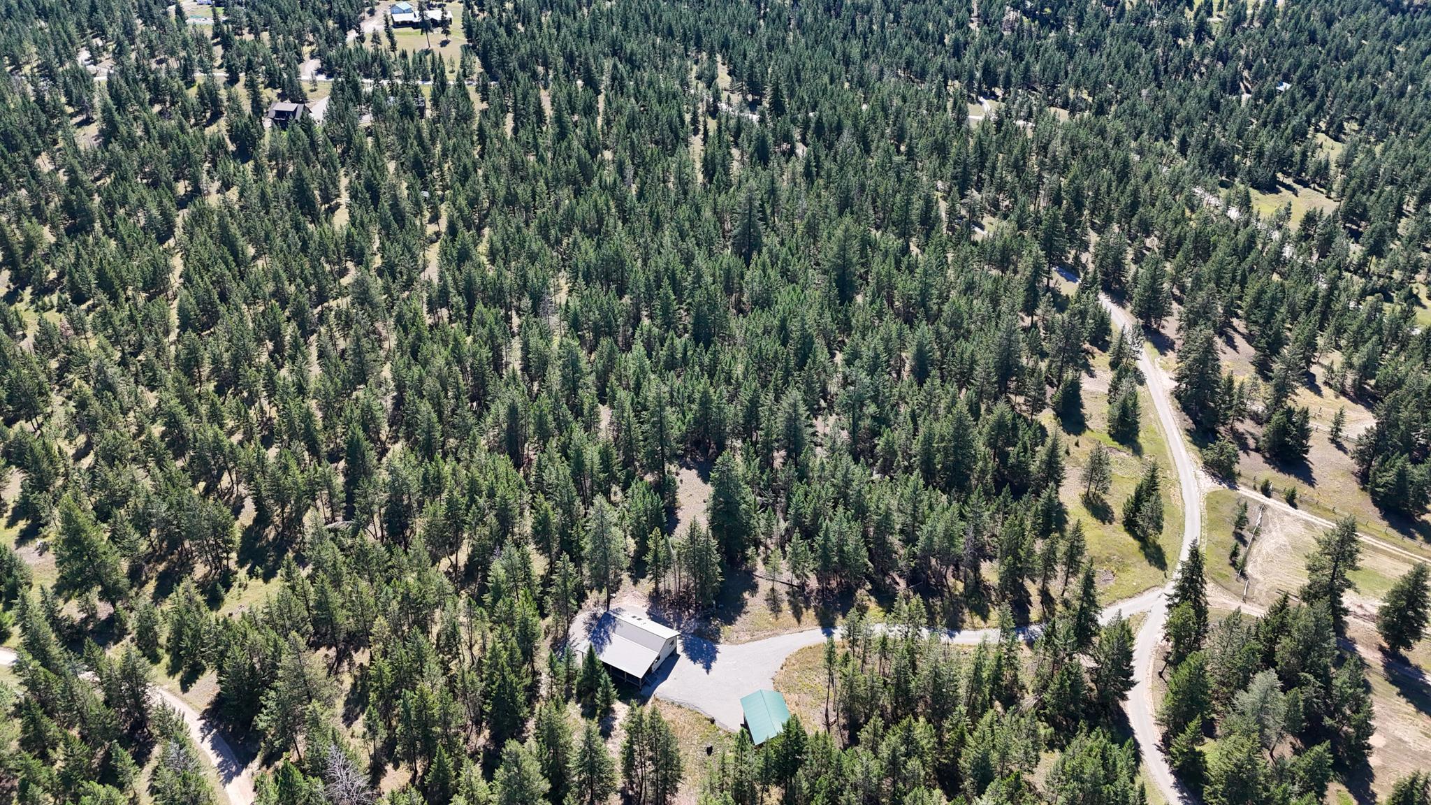 224 Lone Roan Lane