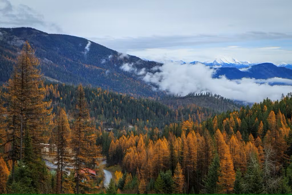 3832 Tamarack Avenue 2B