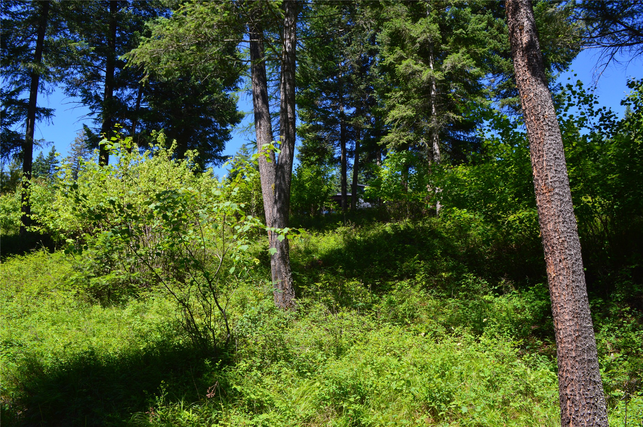 315 Gleneagles Trail