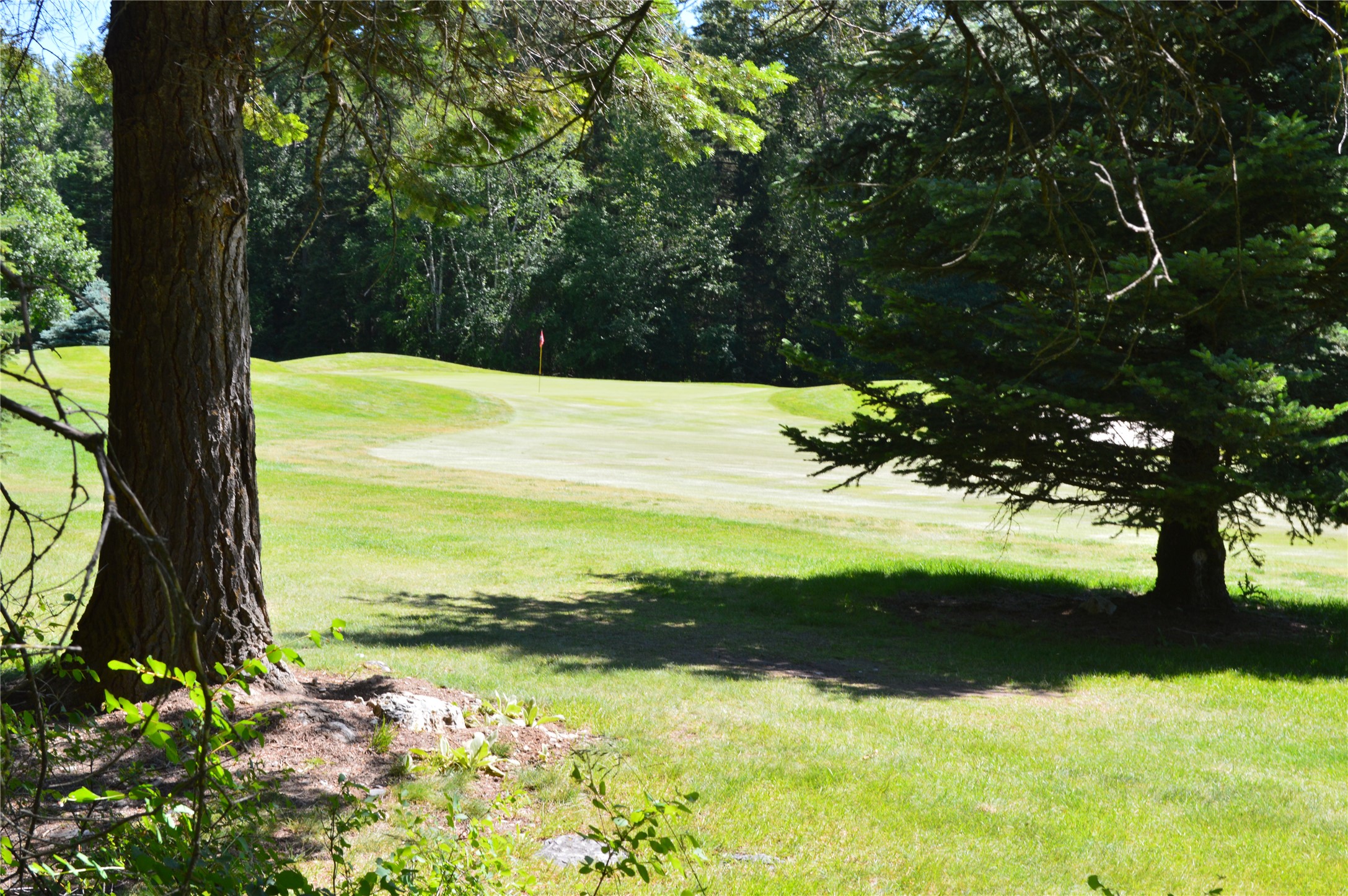 315 Gleneagles Trail