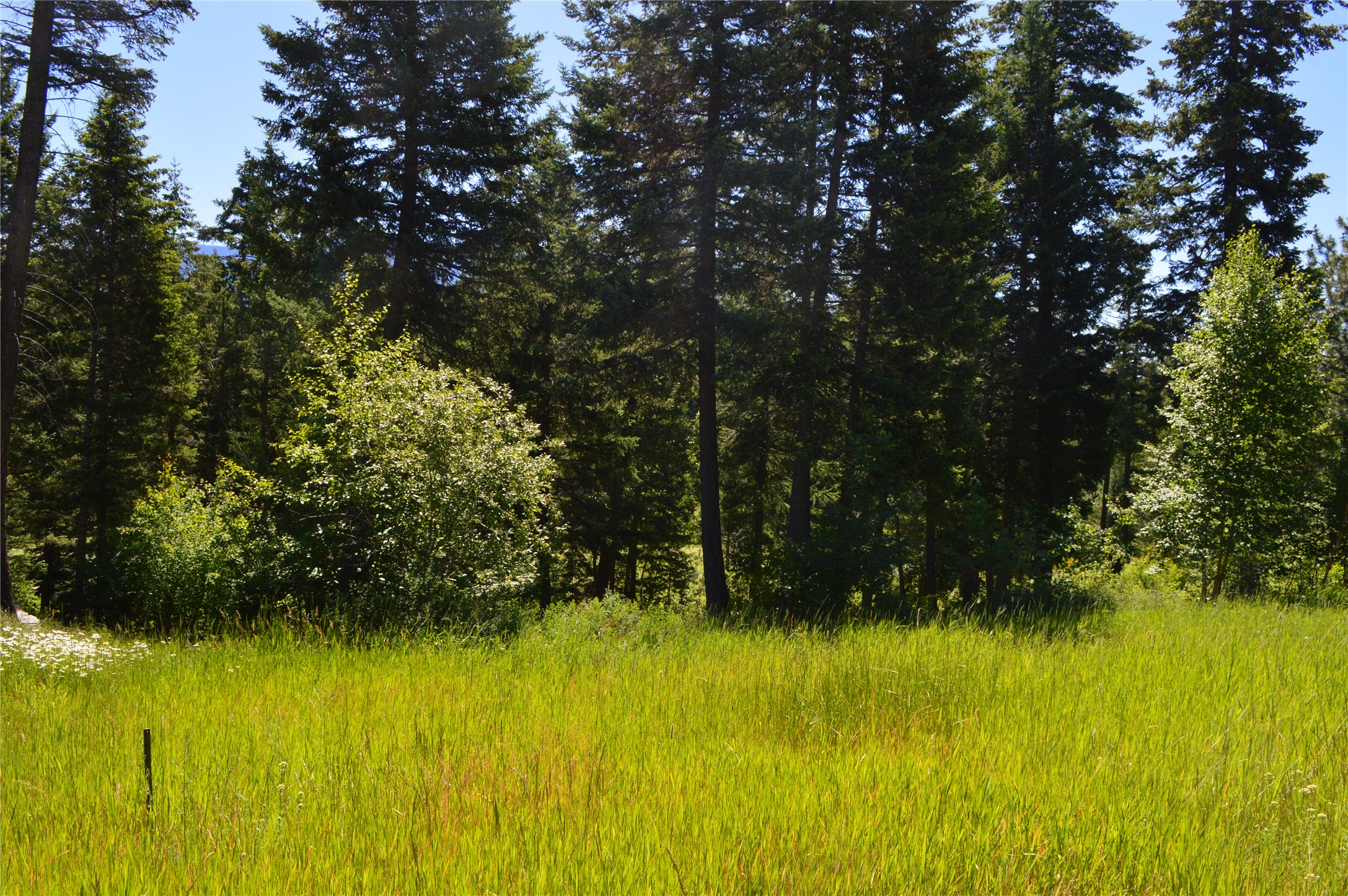 315 Gleneagles Trail