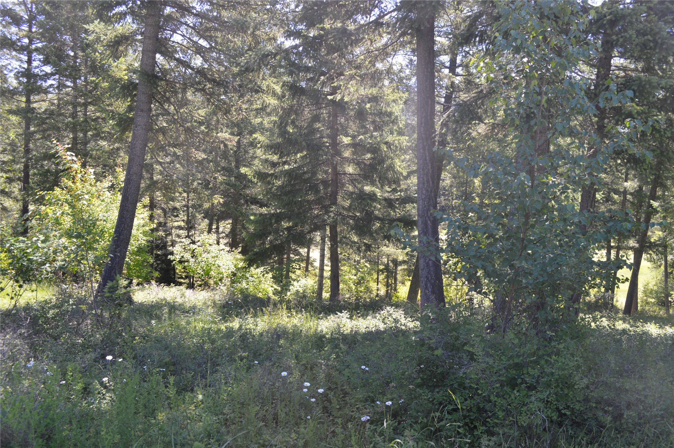 315 Gleneagles Trail