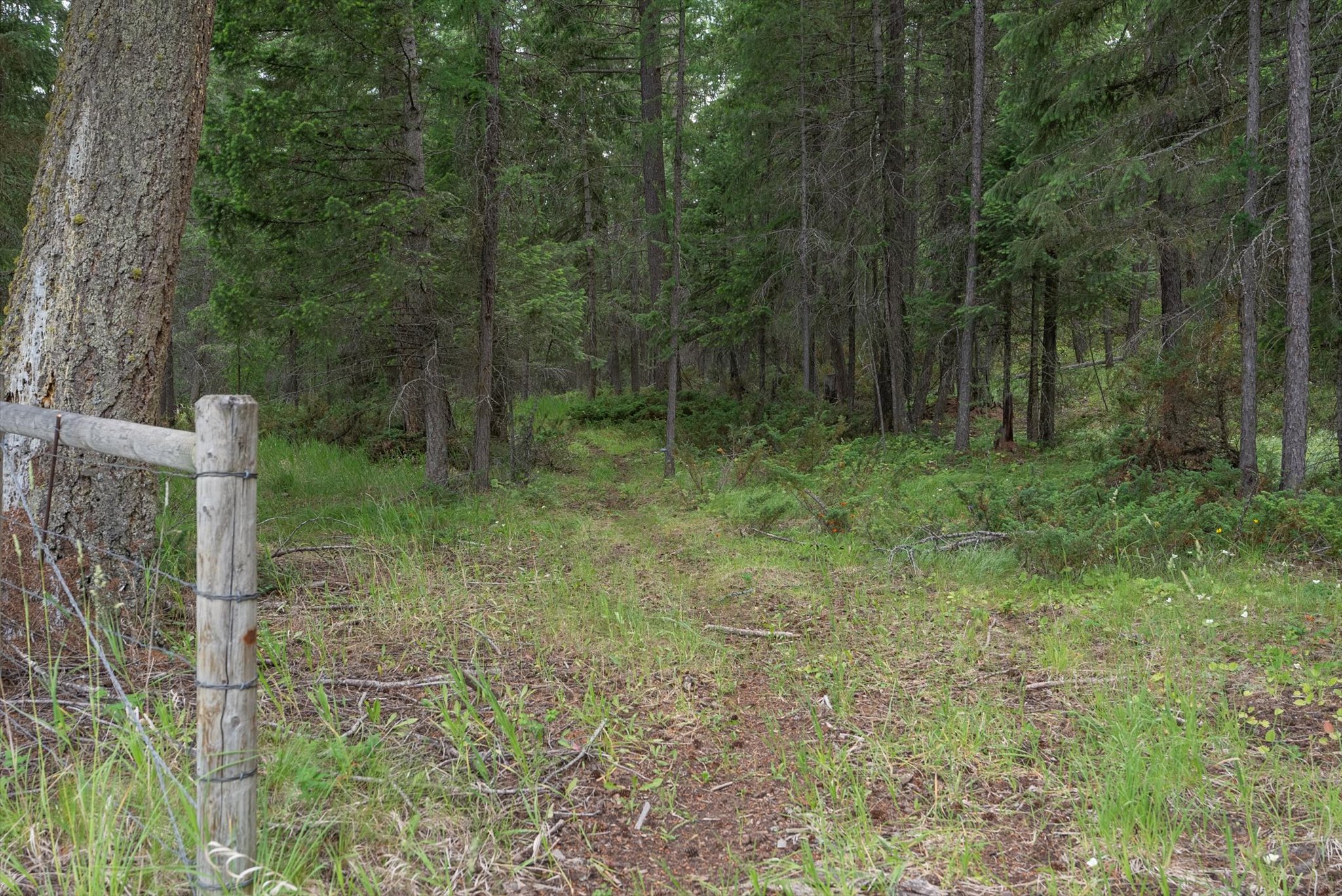 555 & 561 Twin Bridges Road