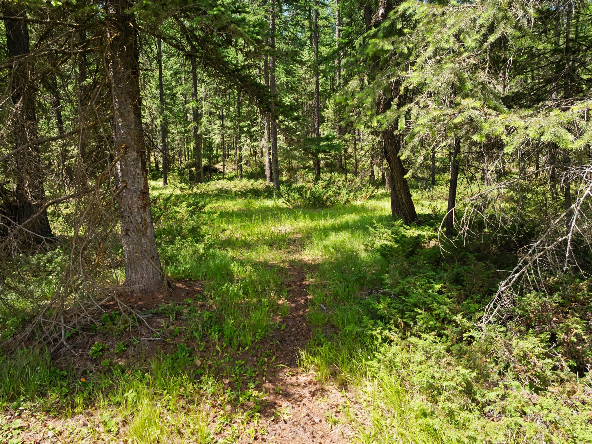 555 & 561 Twin Bridges Road