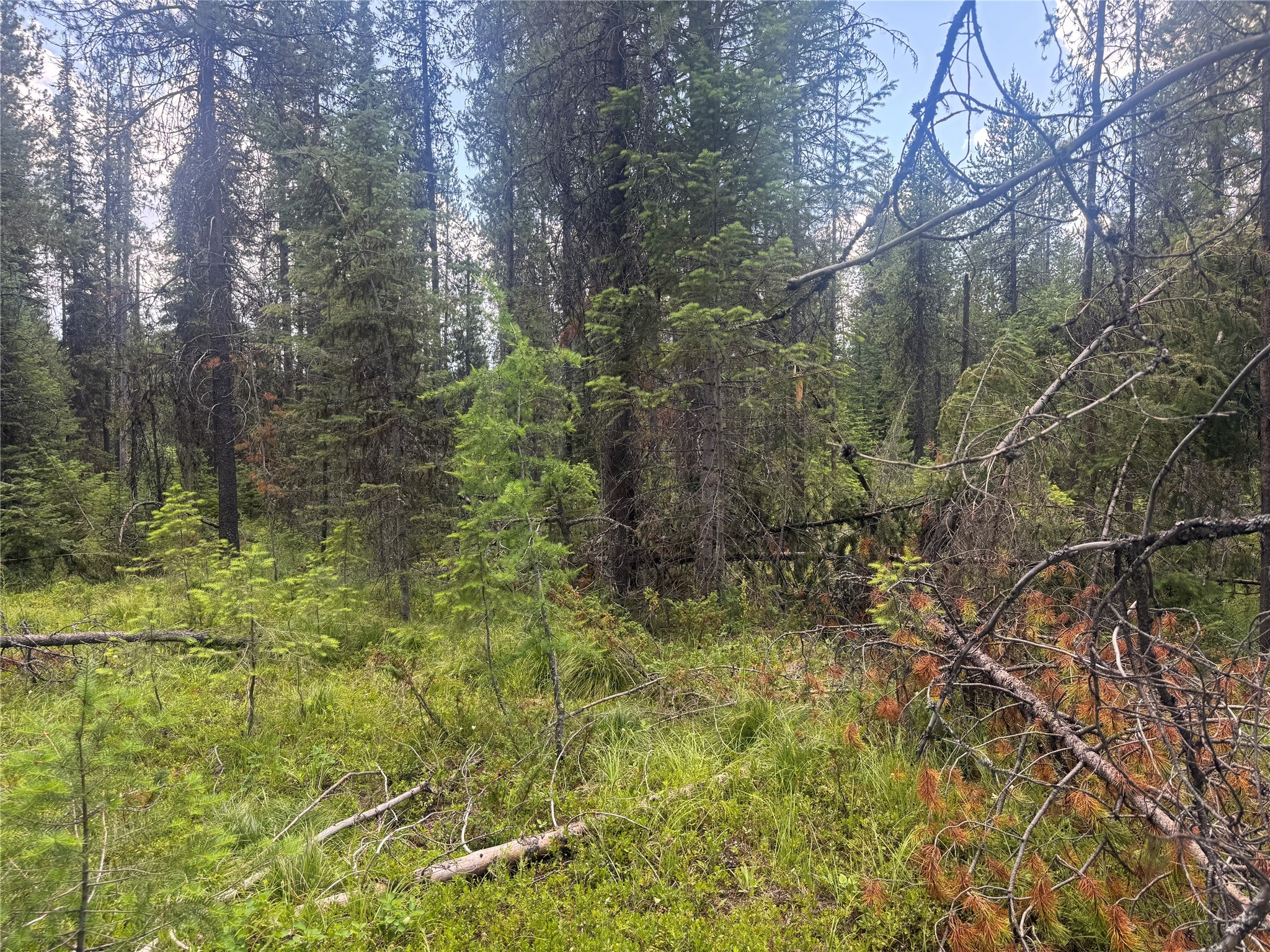9295 Highway 93 N