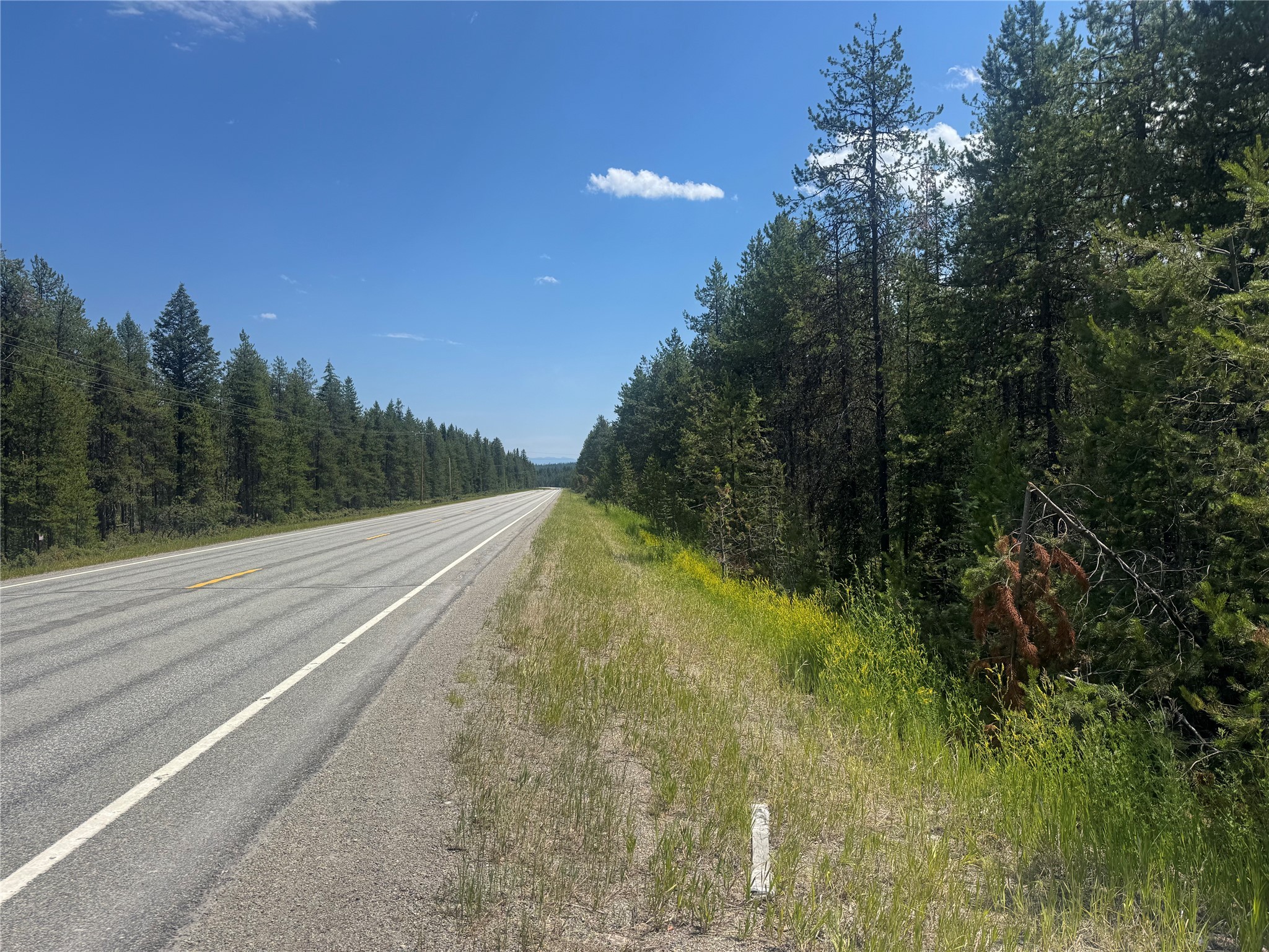 9295 Highway 93 N