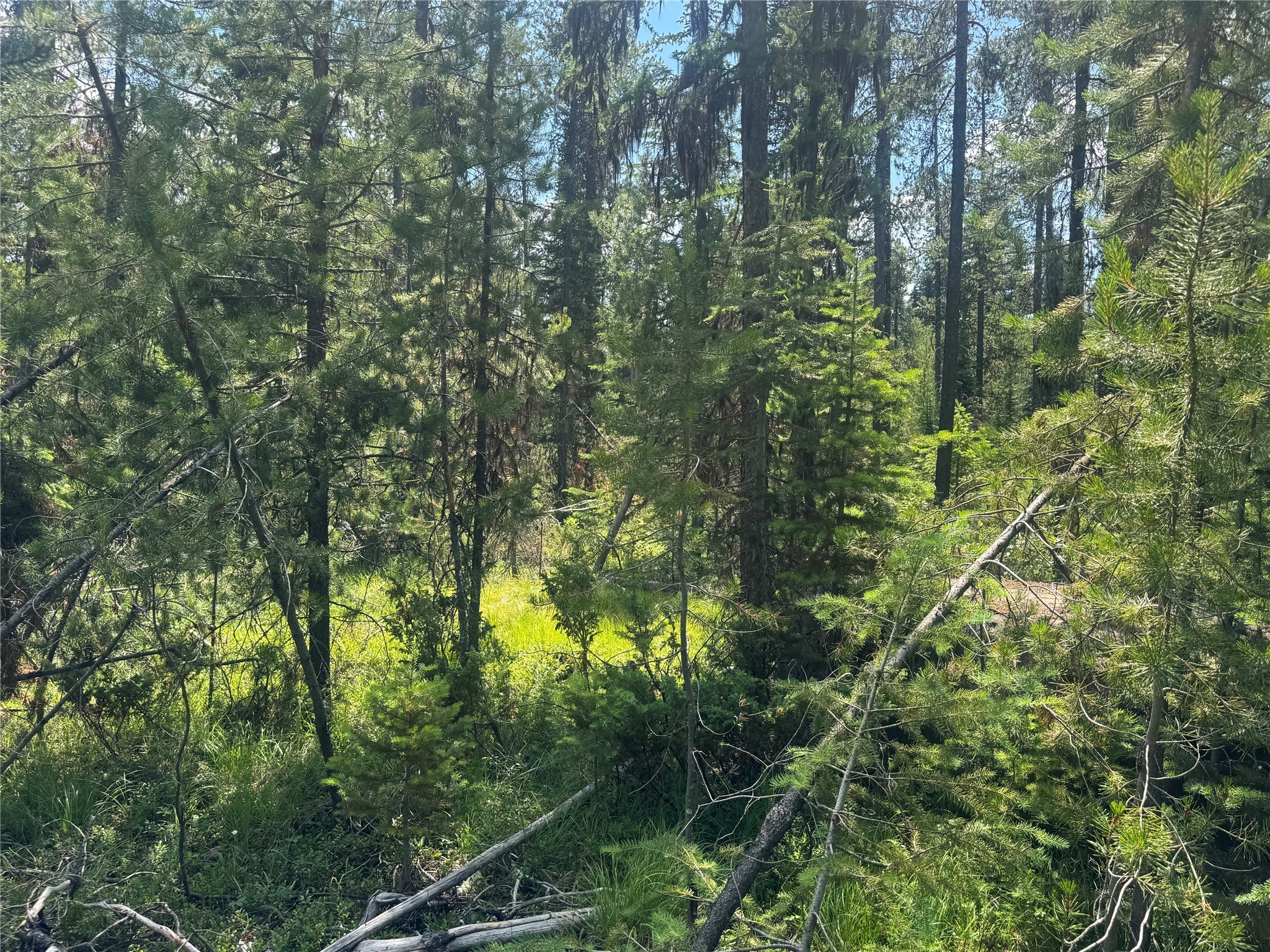 9295 Highway 93 N