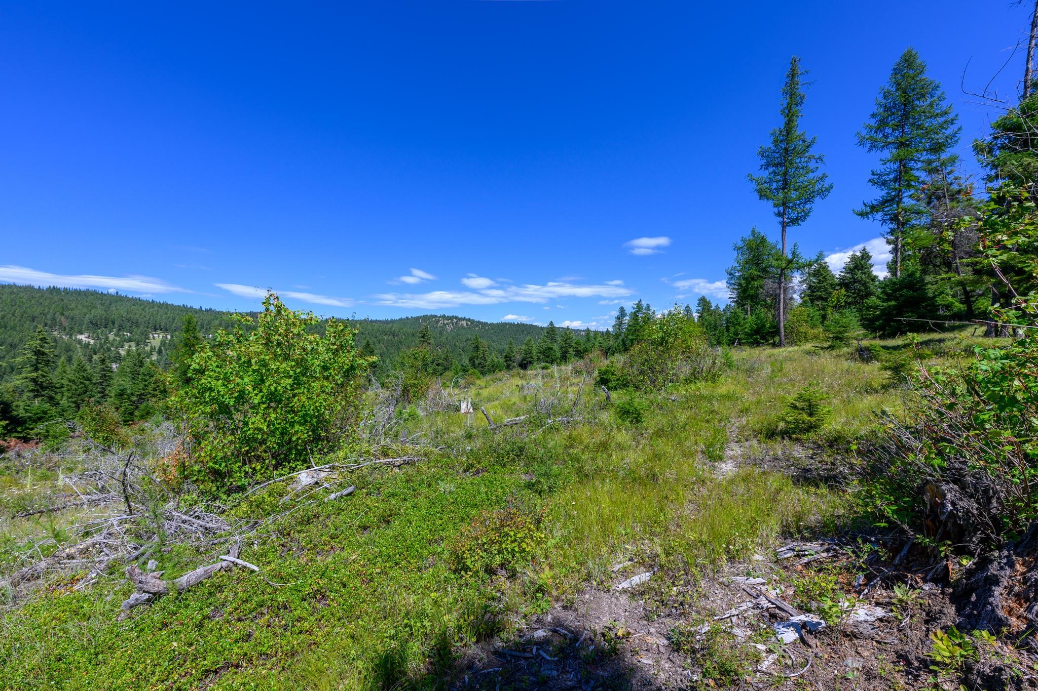 548 Spruce Hollow Trail