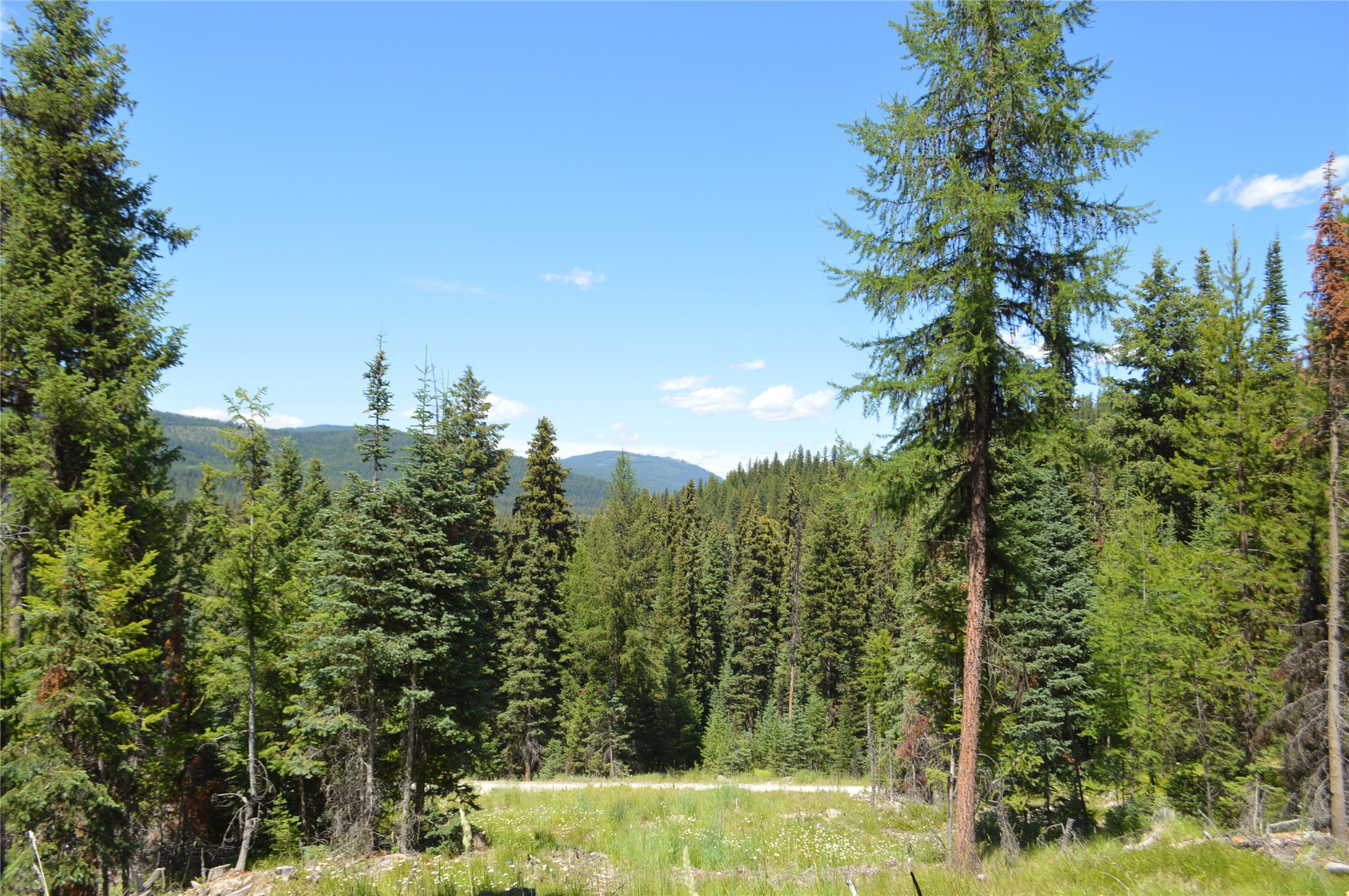 NHN Logan Creek Road