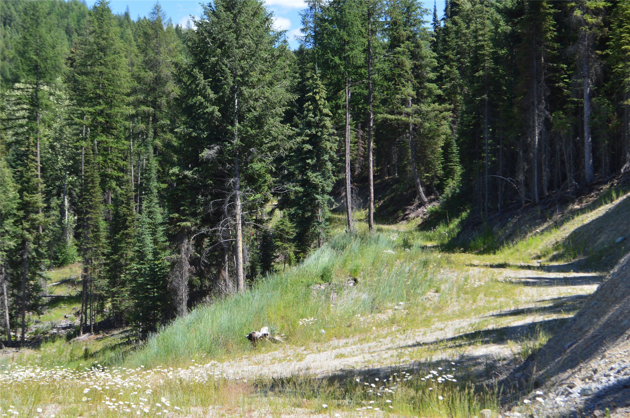 NHN Logan Creek Road