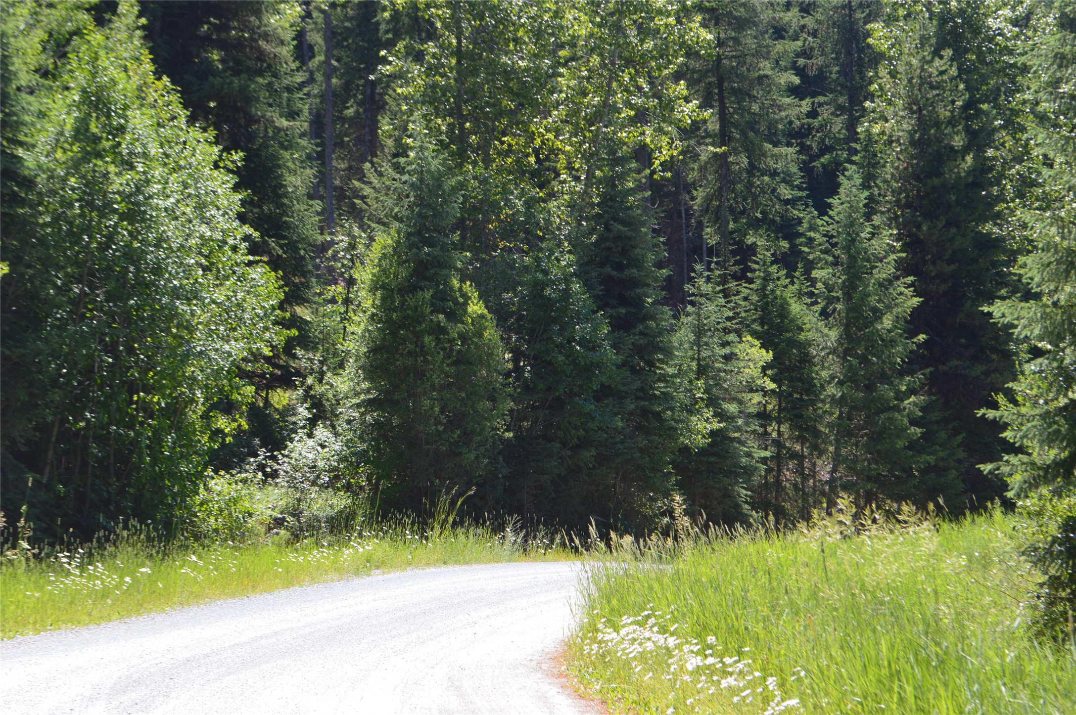 NHN Logan Creek Road