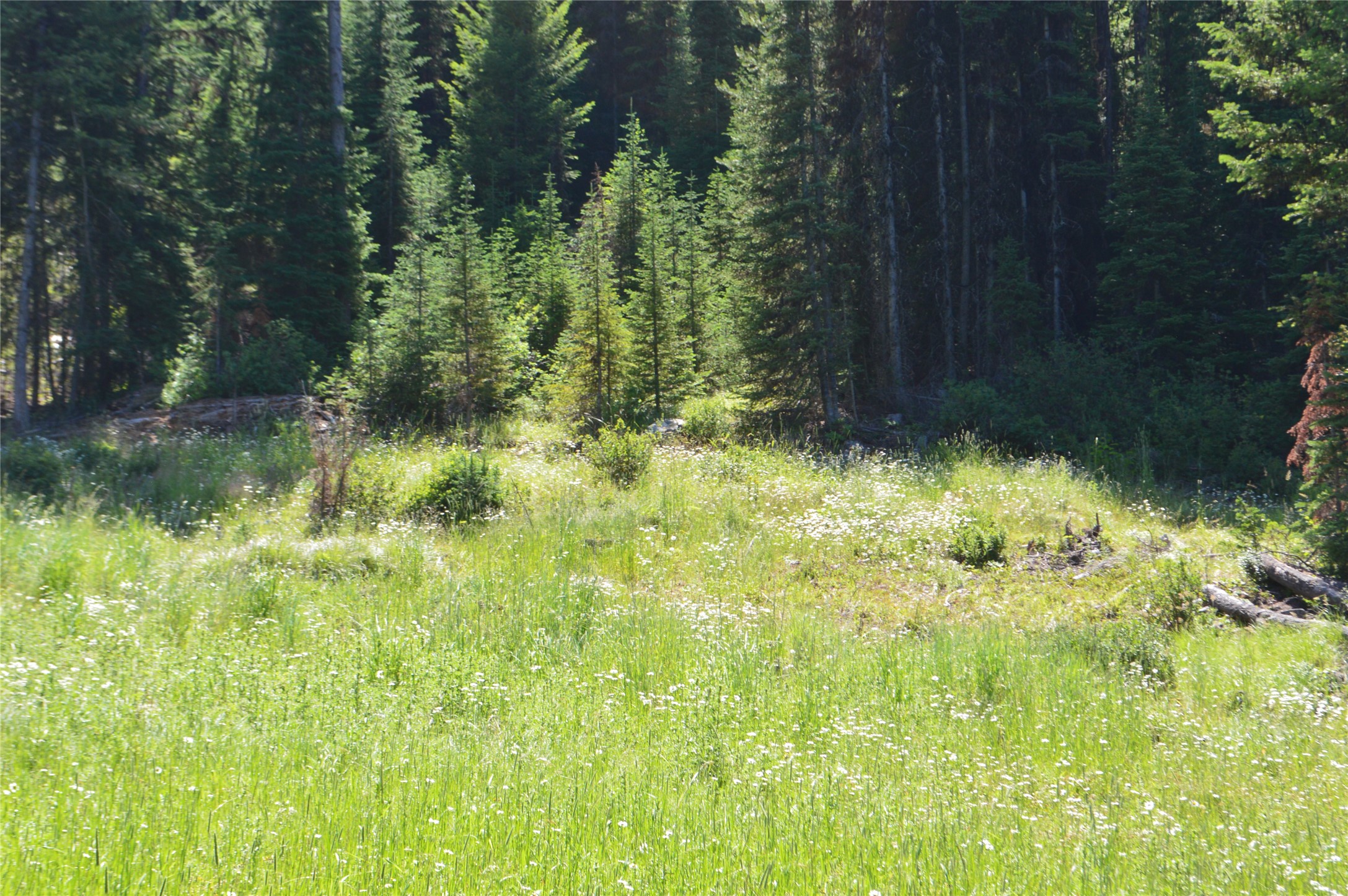 NHN Logan Creek Road