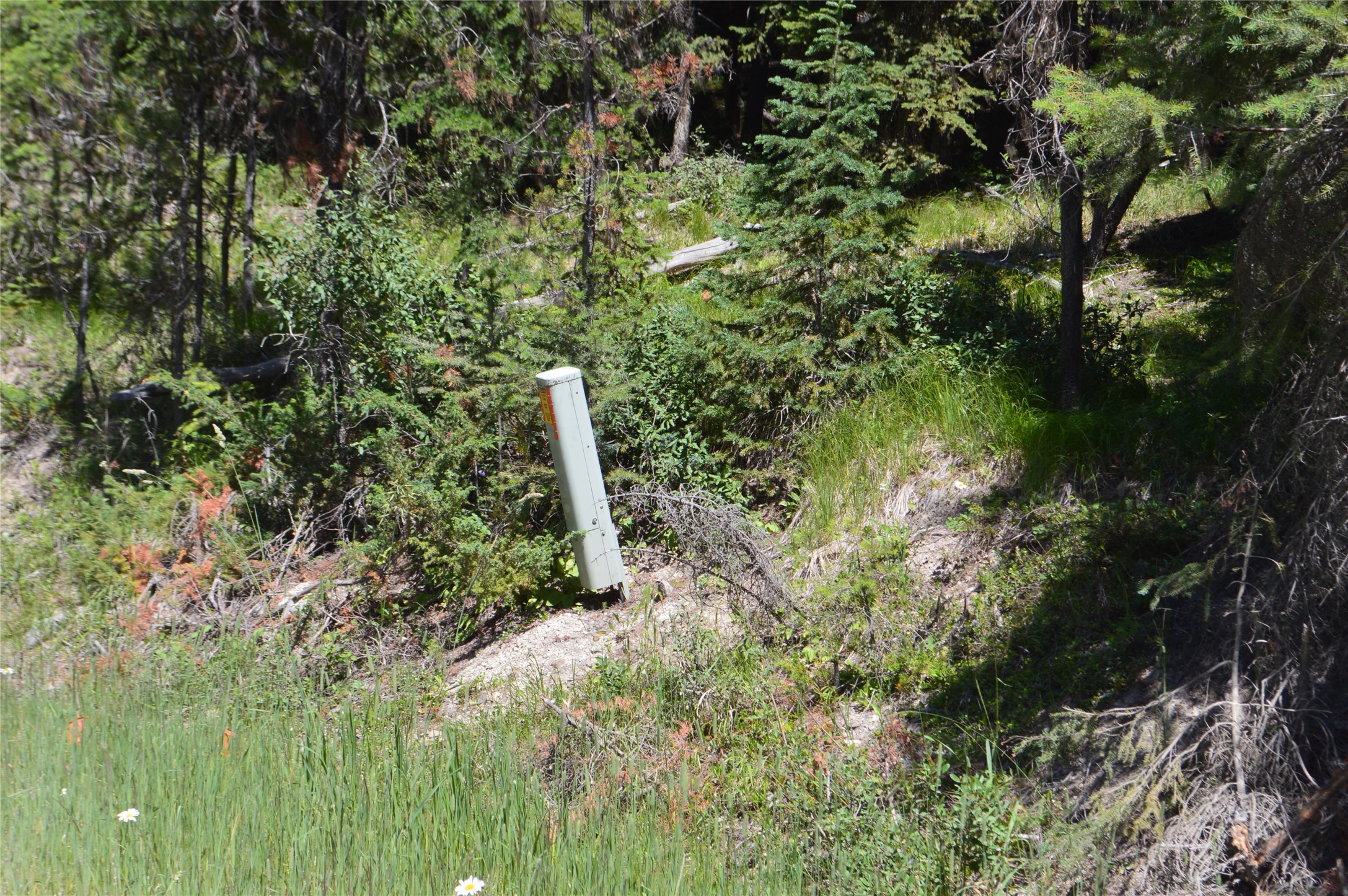 NHN Logan Creek Road