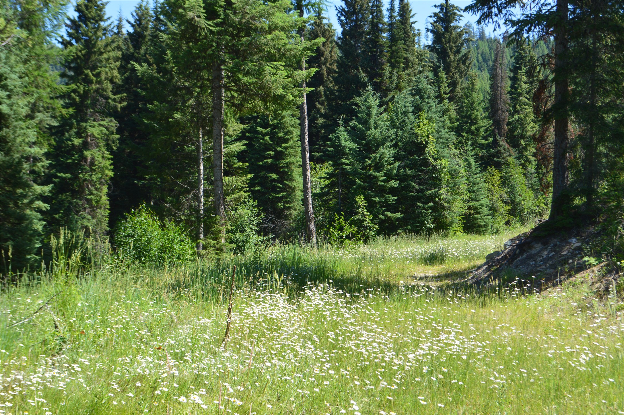 NHN Logan Creek Road