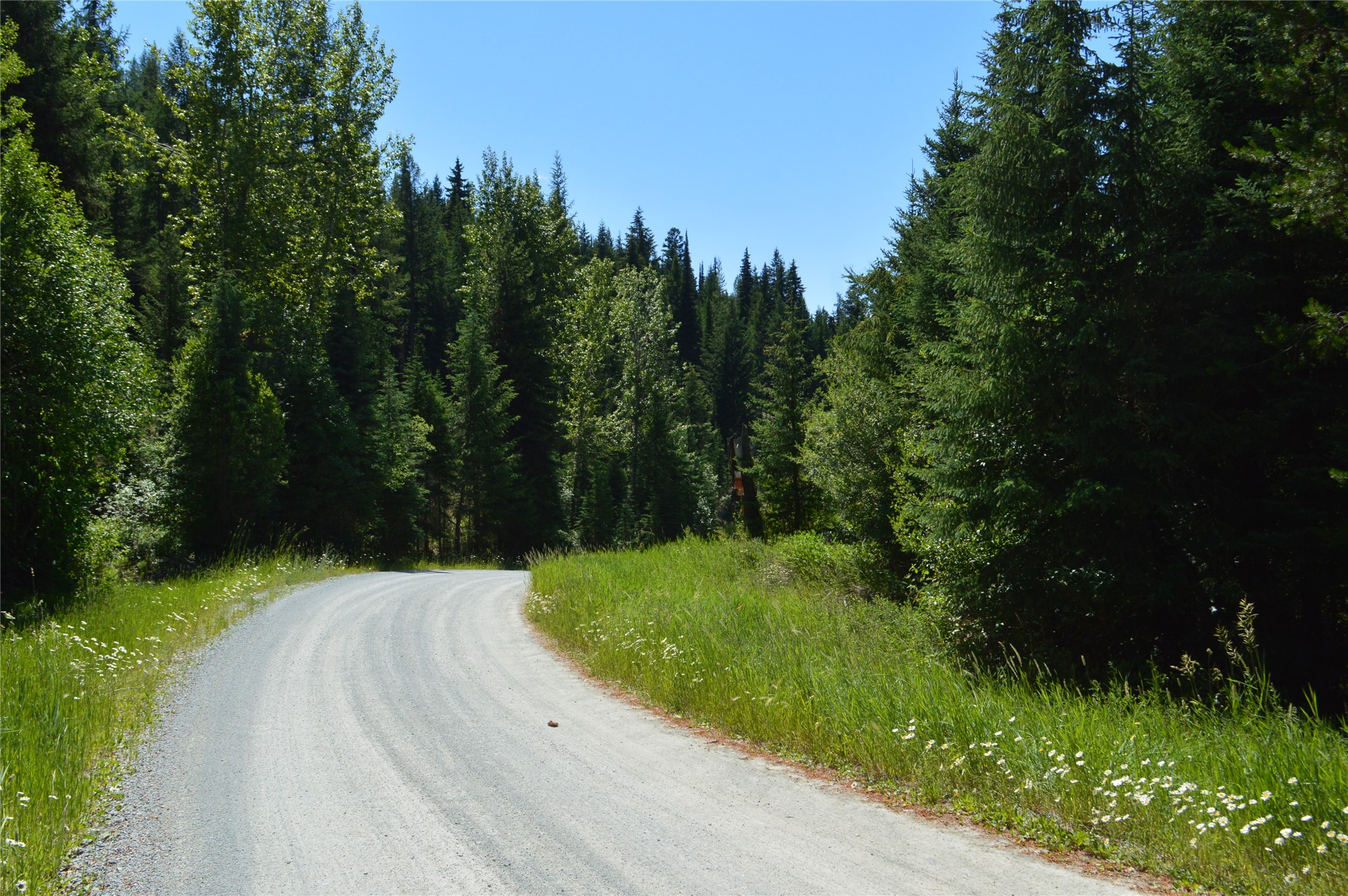 NHN Logan Creek Road