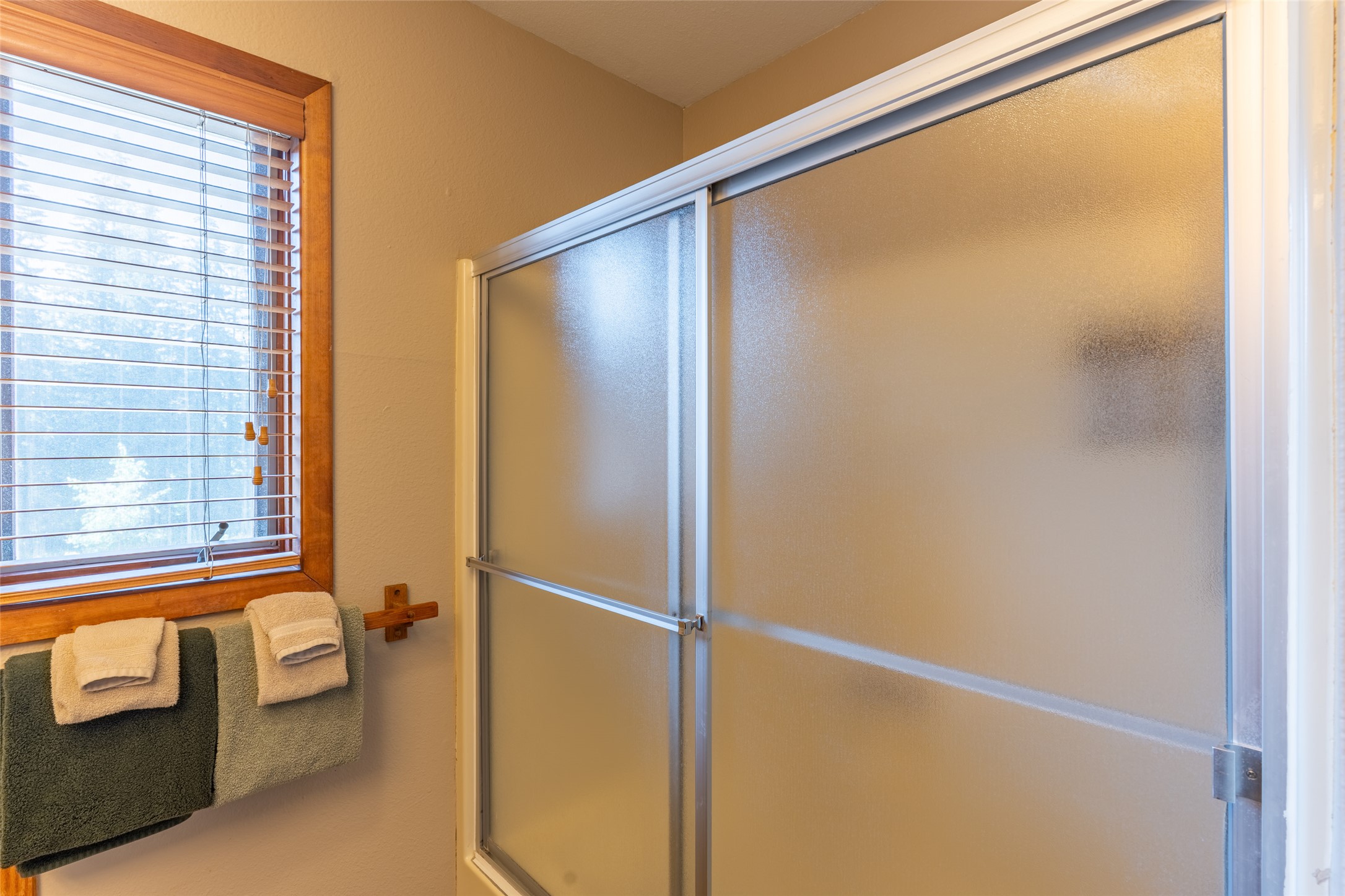 3808 Alpine Village Drive 2