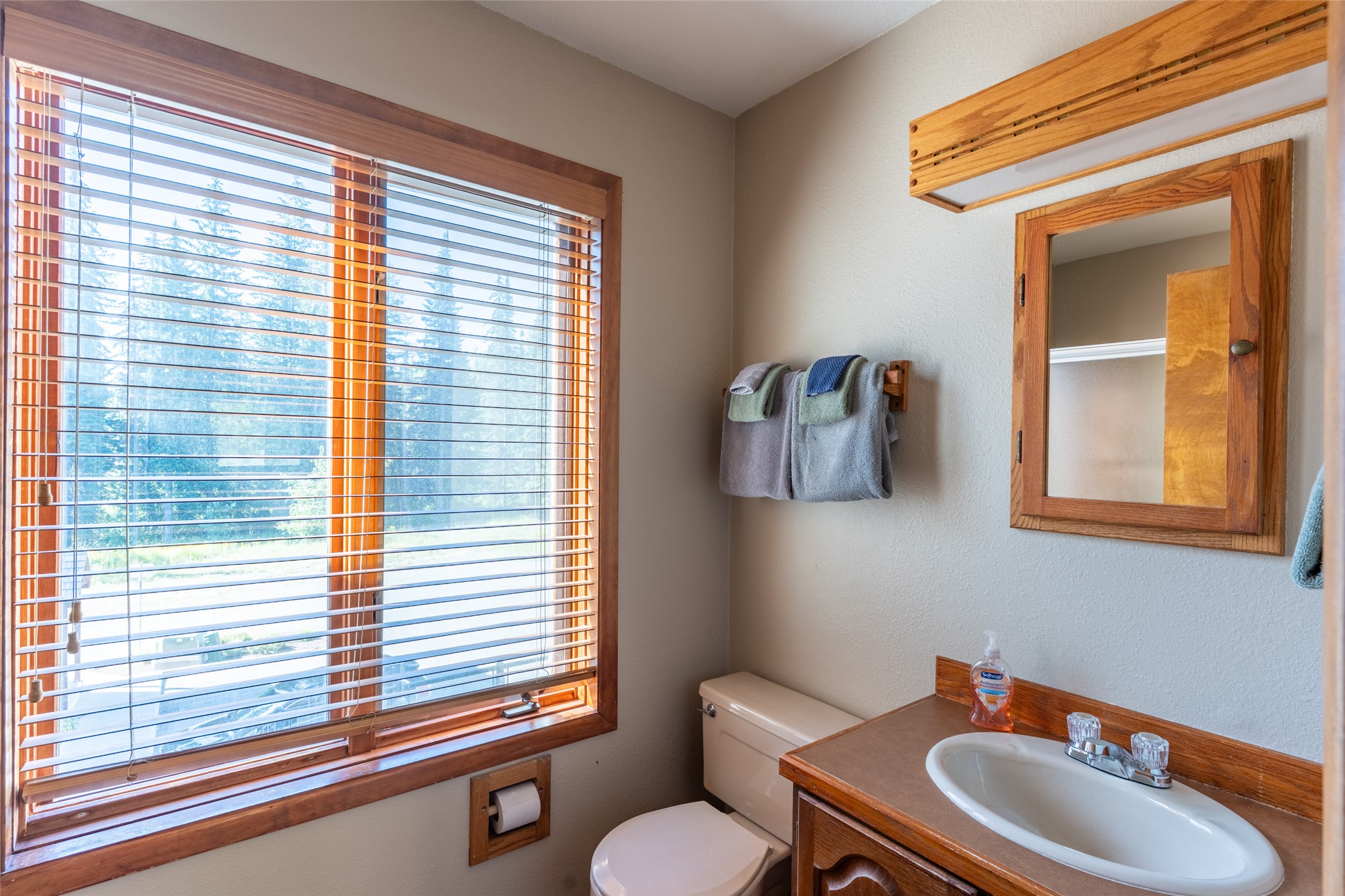 3808 Alpine Village Drive 2