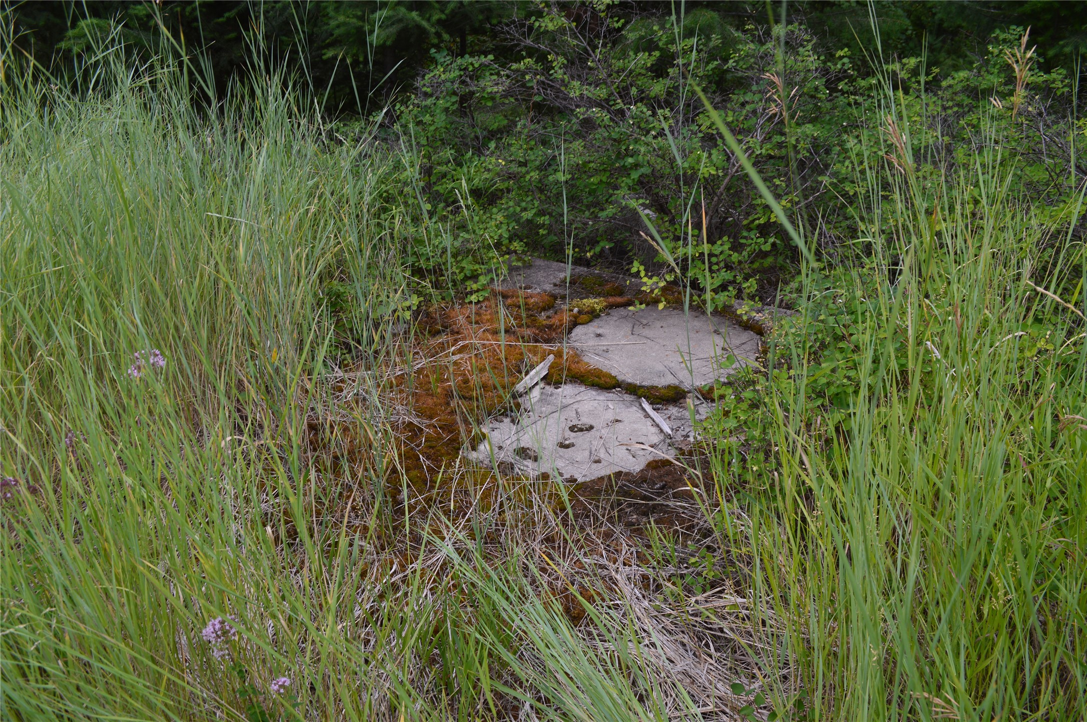 270 Antler Ridge Road