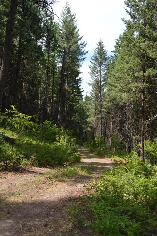 270 Antler Ridge Road