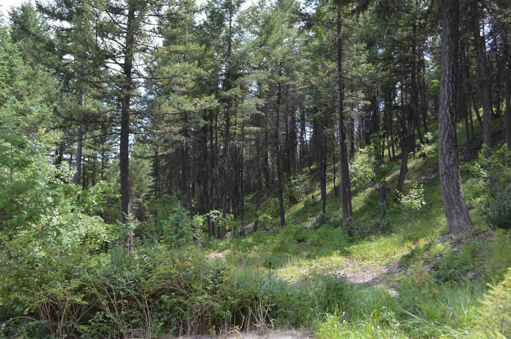 270 Antler Ridge Road