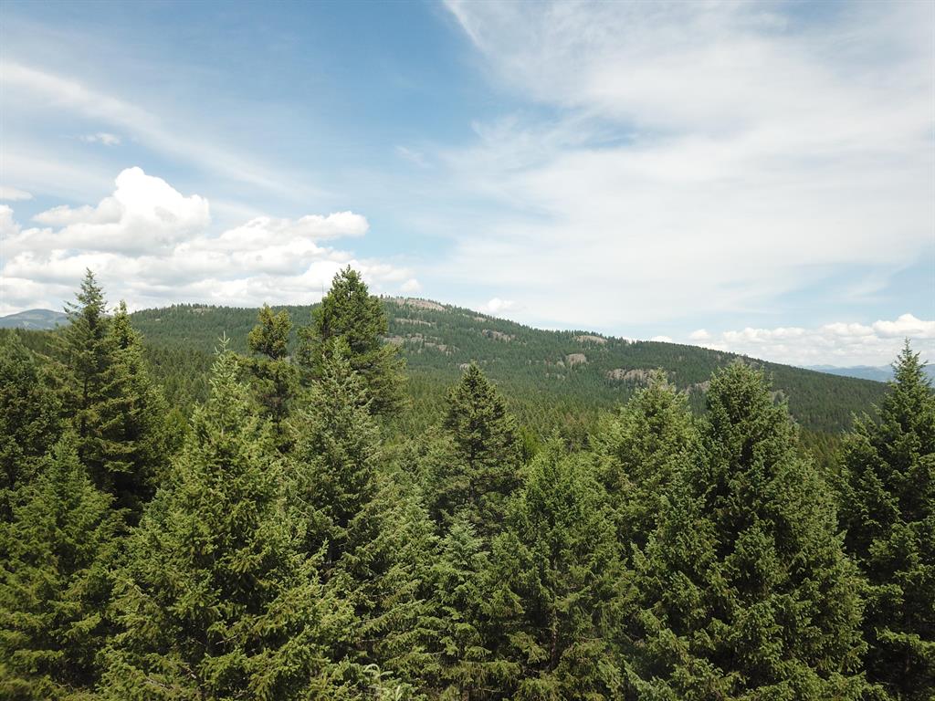 270 Antler Ridge Road