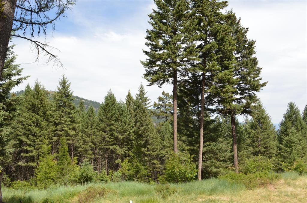 270 Antler Ridge Road