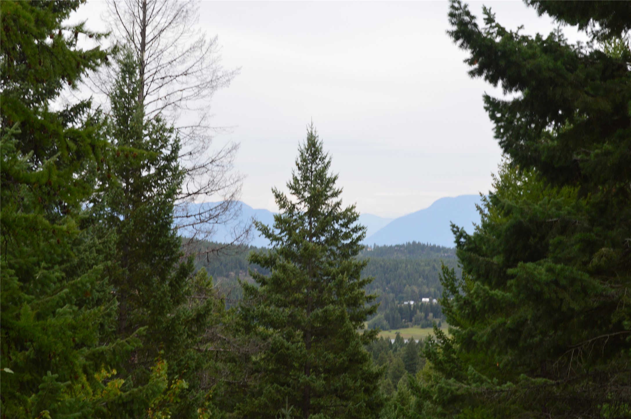 270 Antler Ridge Road