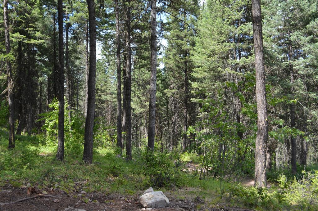 270 Antler Ridge Road