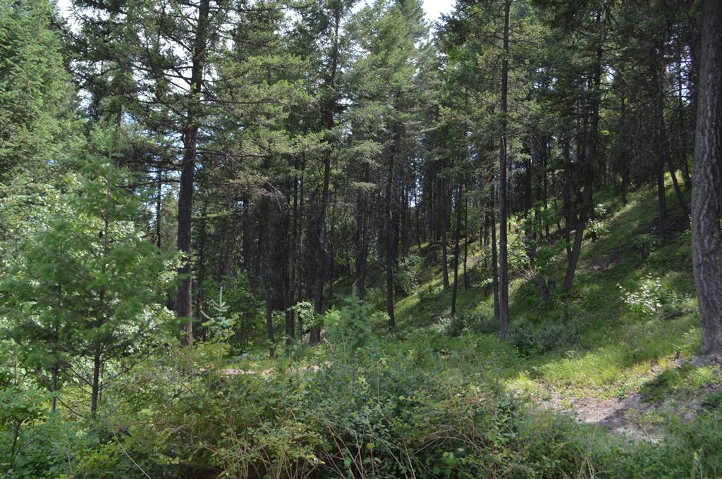 270 Antler Ridge Road