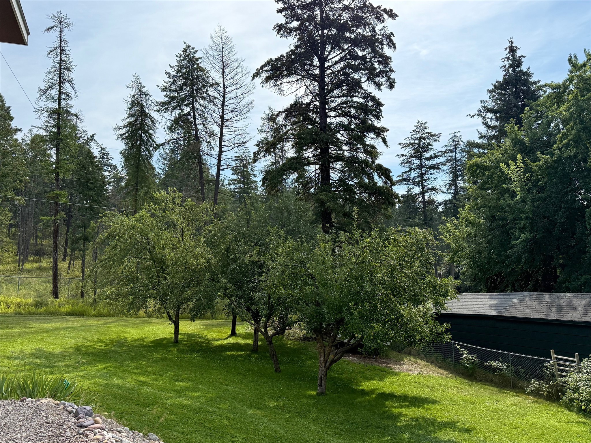 321 Cougar Trail