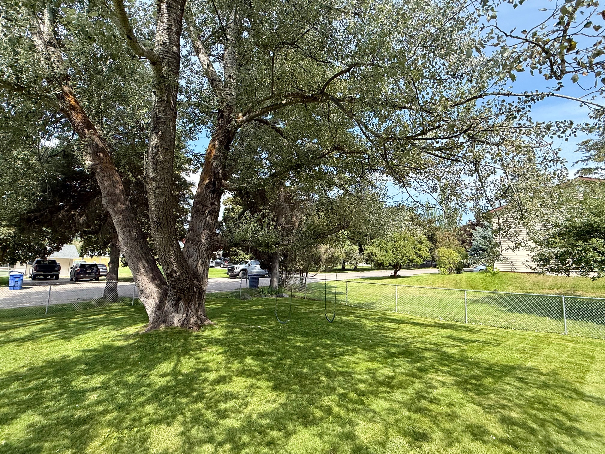 321 Cougar Trail
