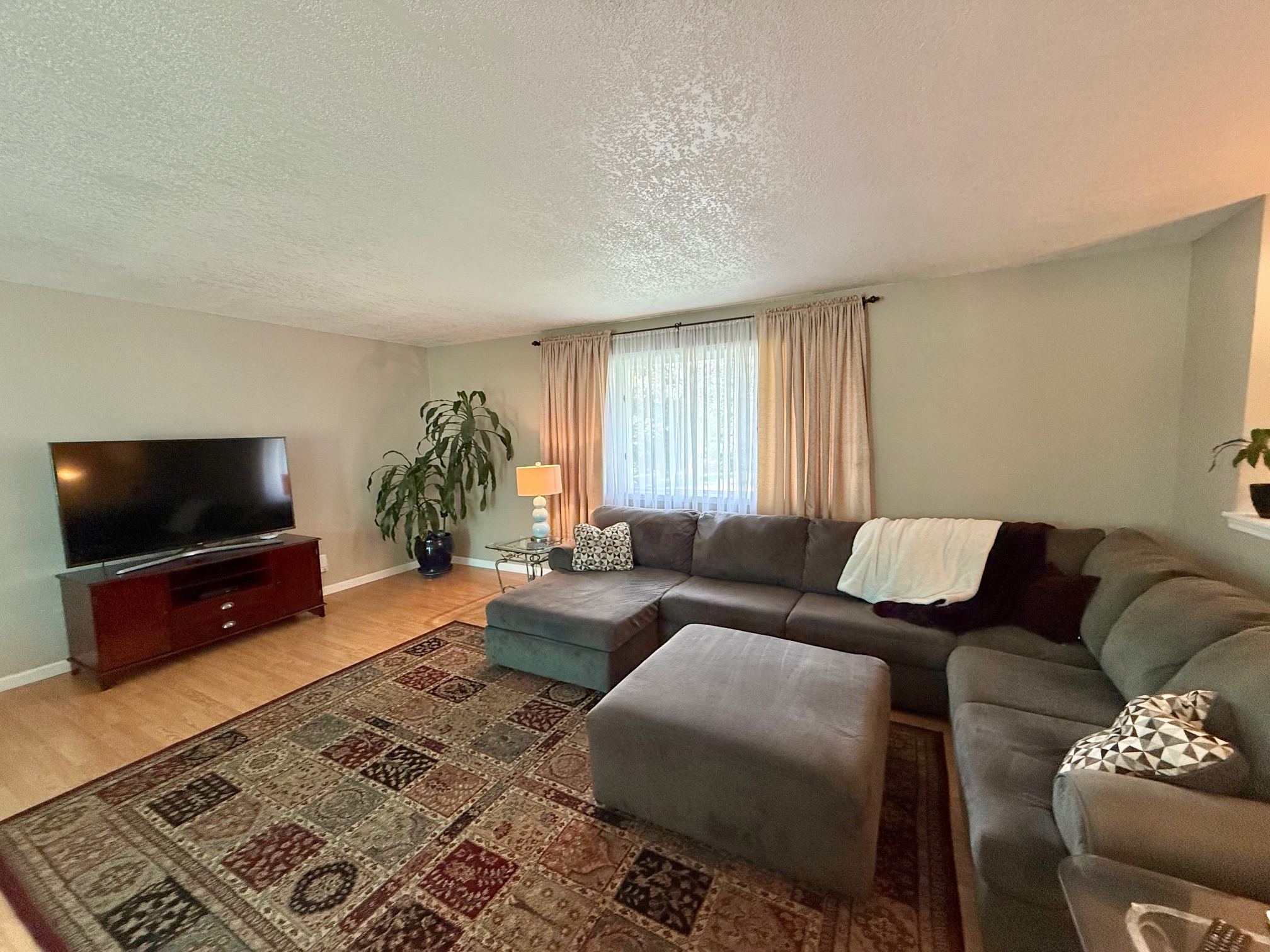 321 Cougar Trail