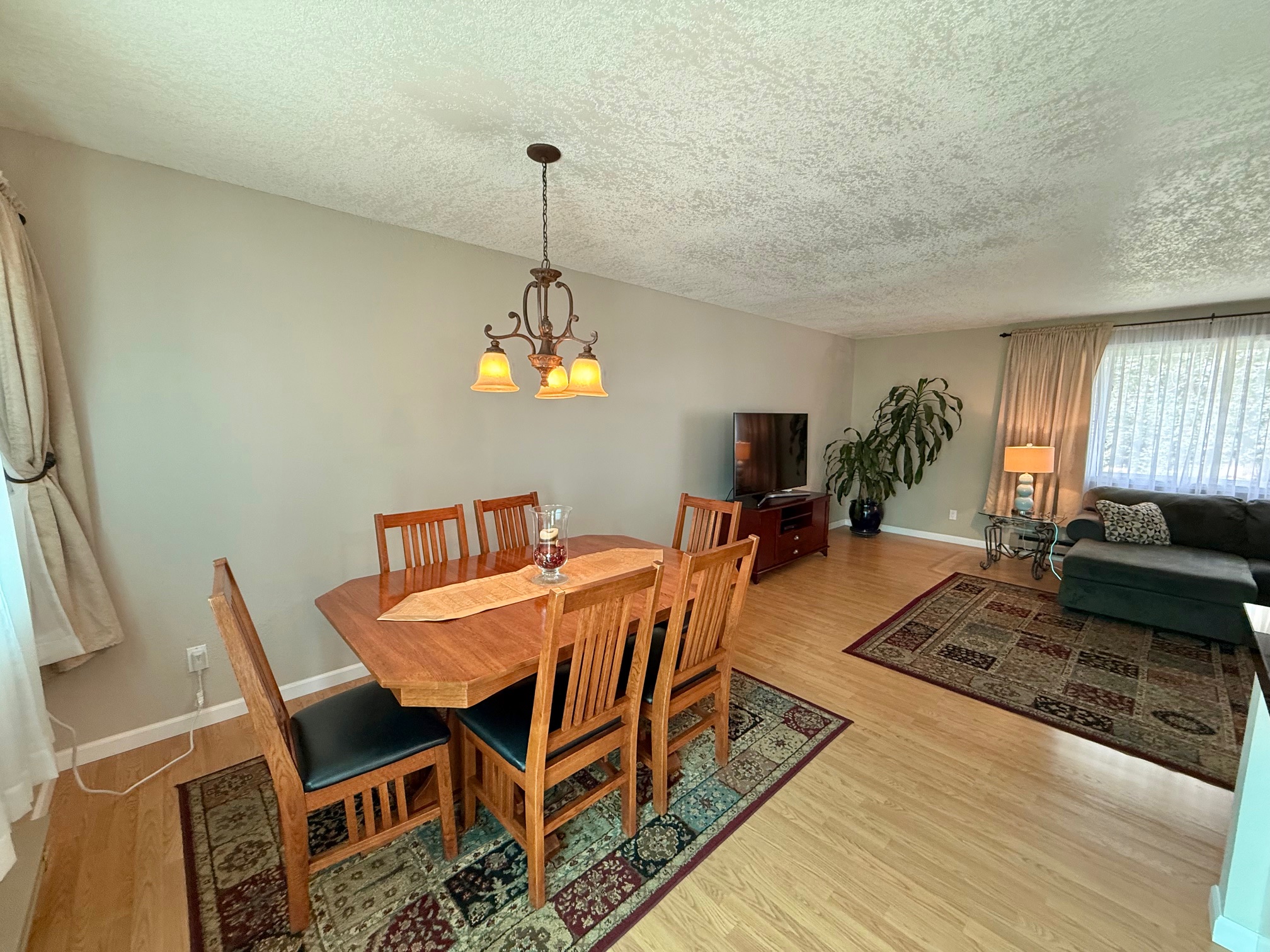 321 Cougar Trail