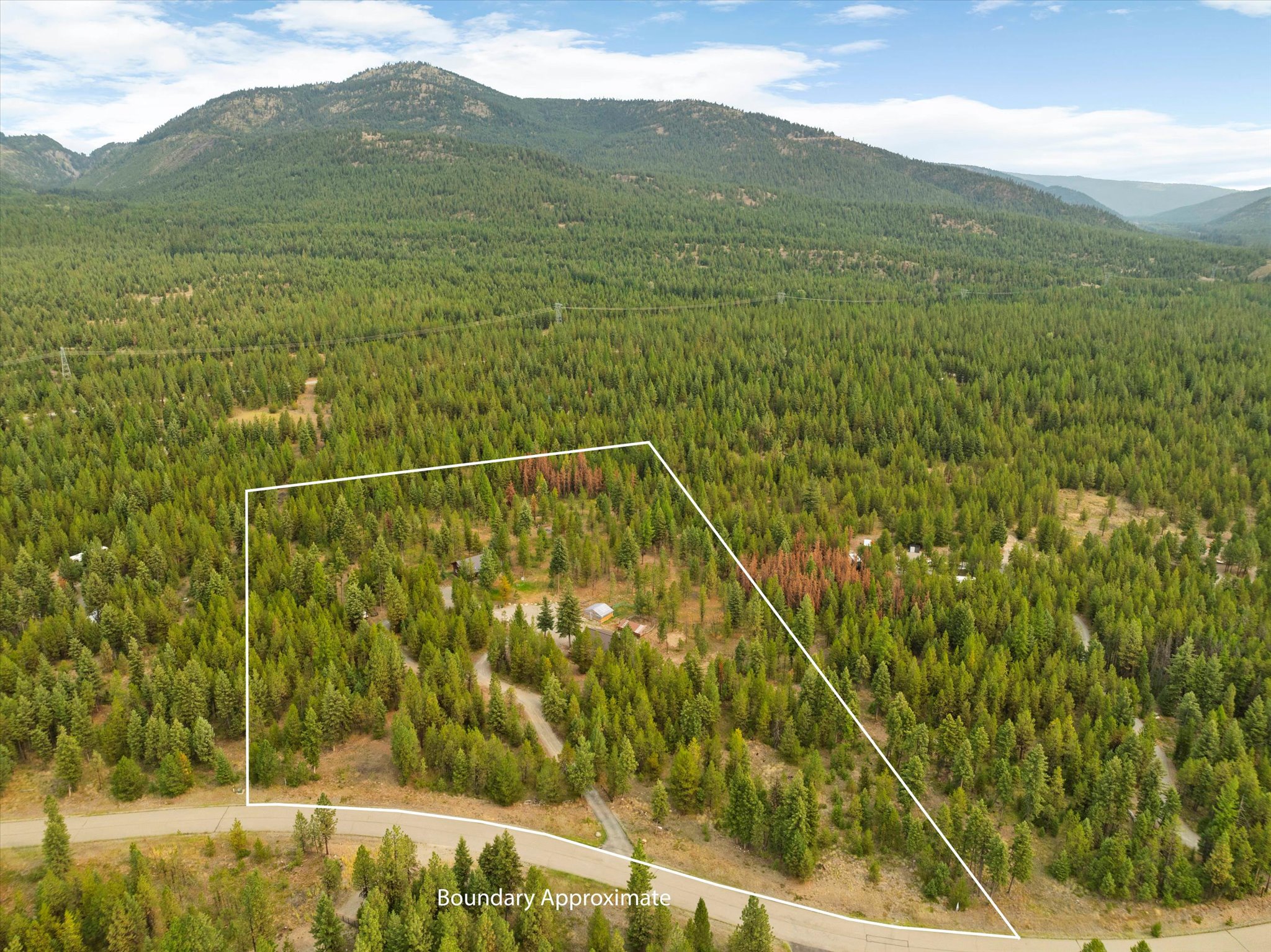 886 Rogers Mountain Loop