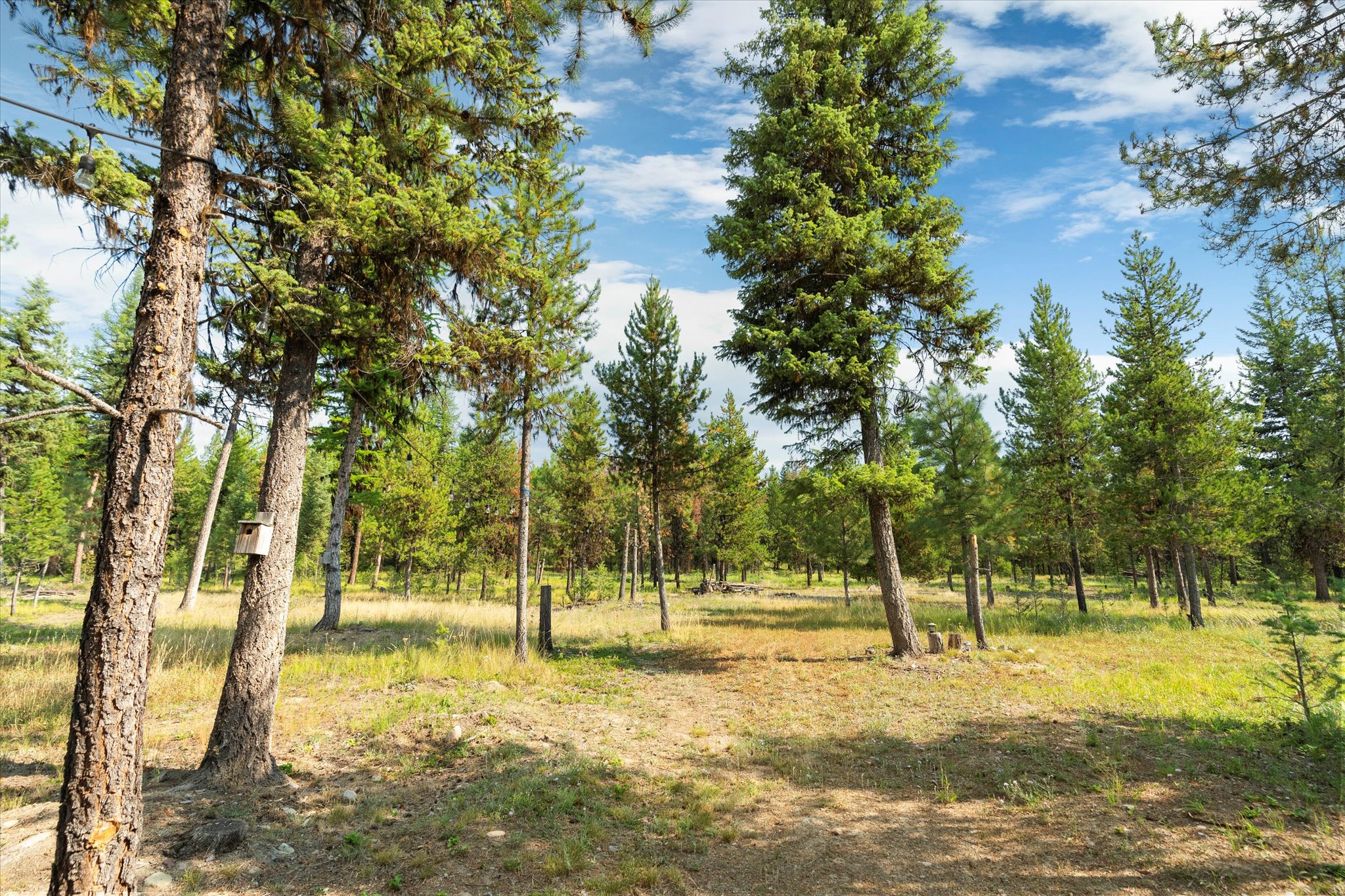 886 Rogers Mountain Loop