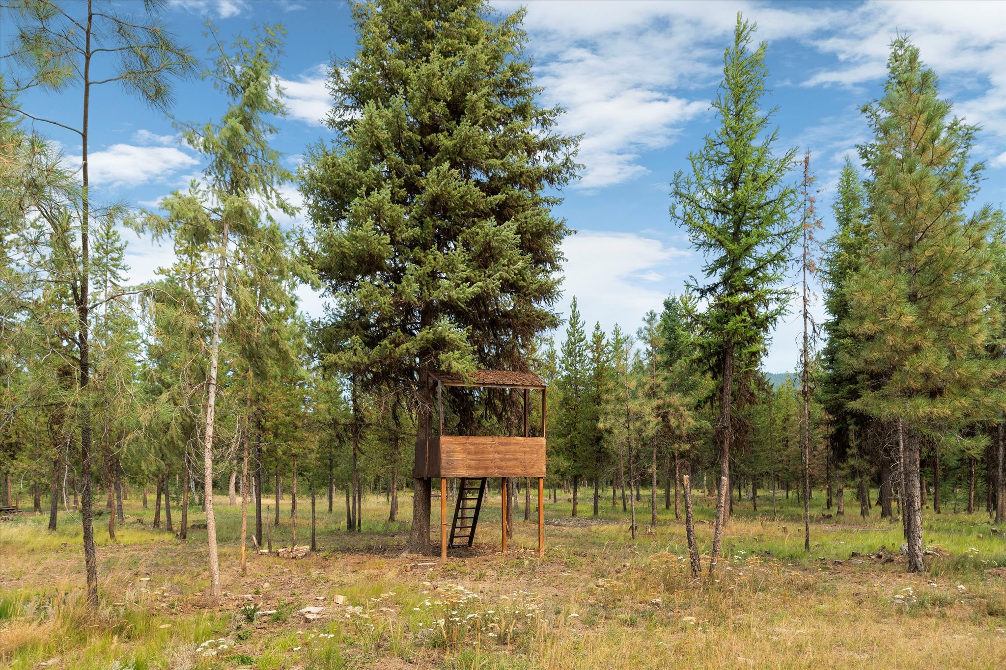 886 Rogers Mountain Loop